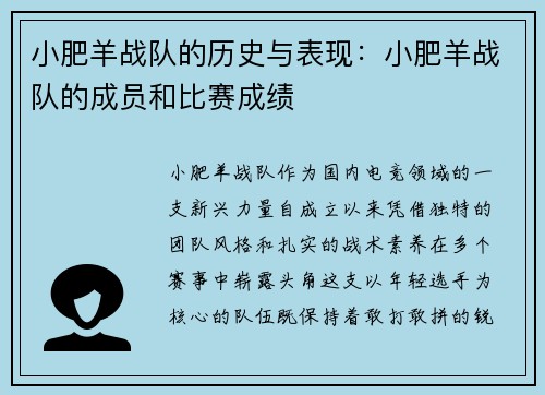 小肥羊战队的历史与表现：小肥羊战队的成员和比赛成绩